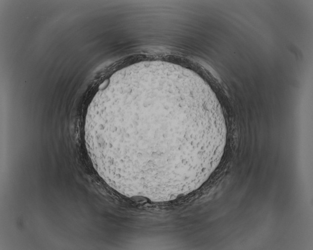 X0000111241016200907301302
