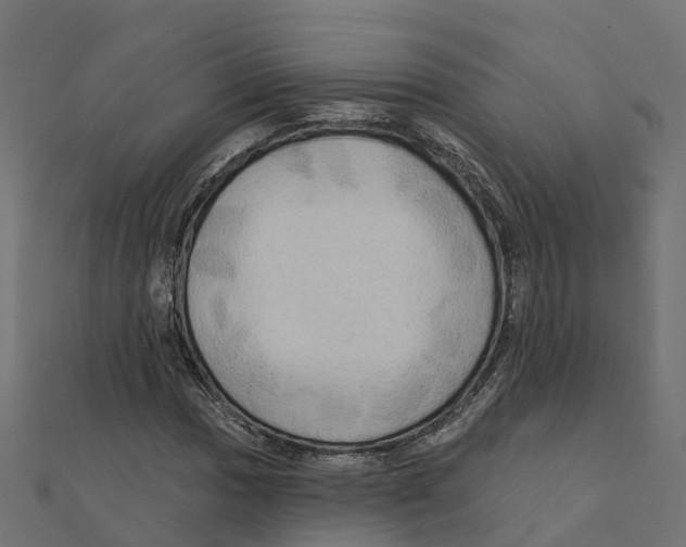 X0000111241017200907301302