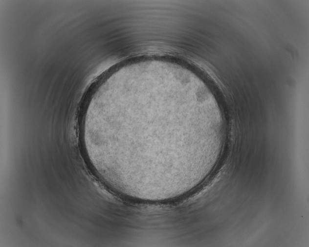 X0000111241018200907301302