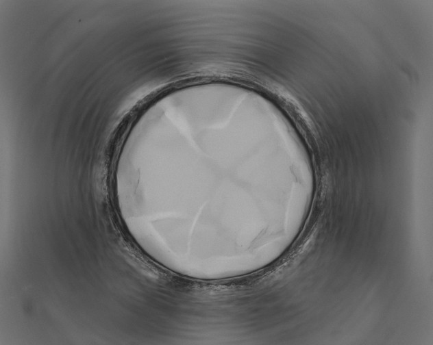 X0000111241019200907301302