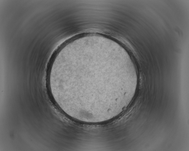X0000111241020200907301302