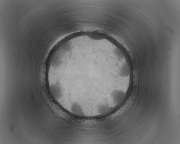 X0000111241021200907301302