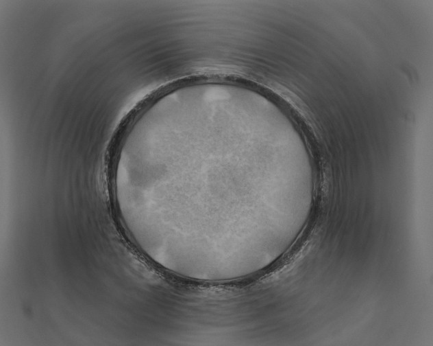 X0000111241022200907301302