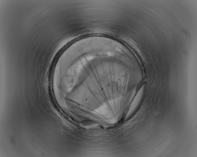 X0000111241024200907301302