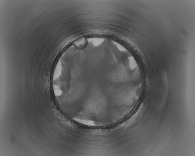 X0000111241025200907301302