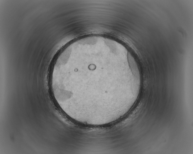 X0000111241026200907301302