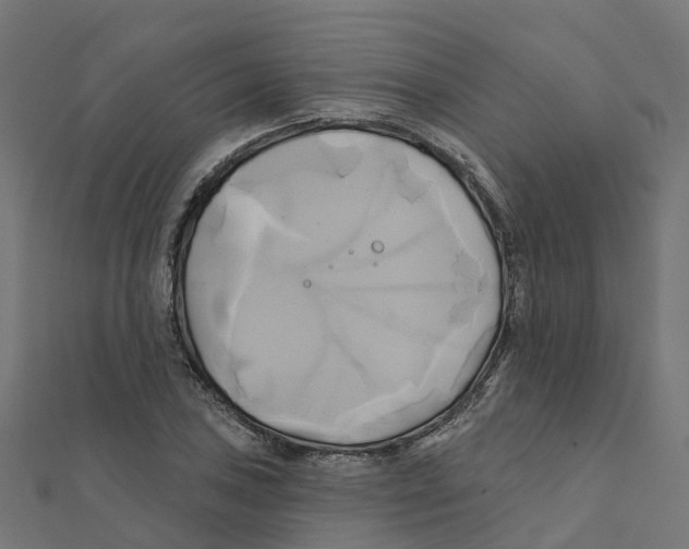 X0000111241027200907301302