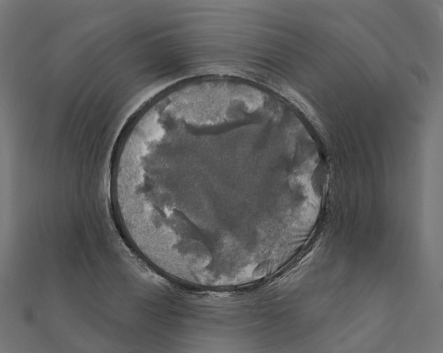 X0000111241028200907301302
