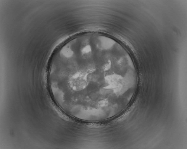X0000111241029200907301302