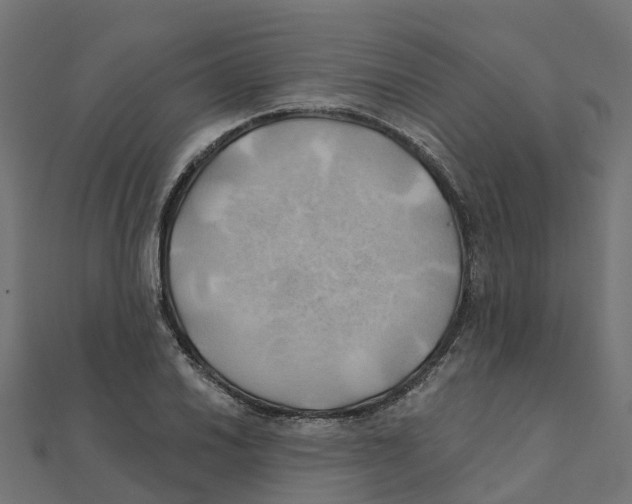 X0000111241030200907301302