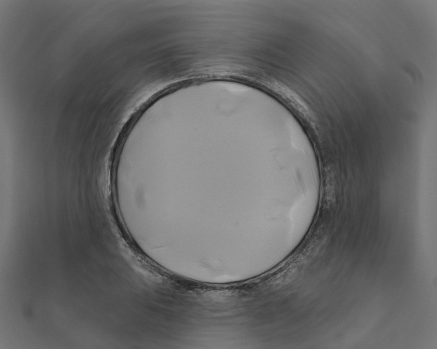 X0000111241031200907301302