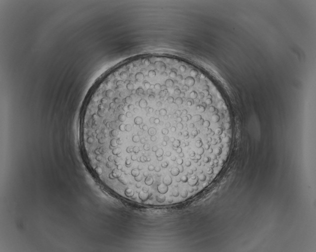X0000111241032200907301302