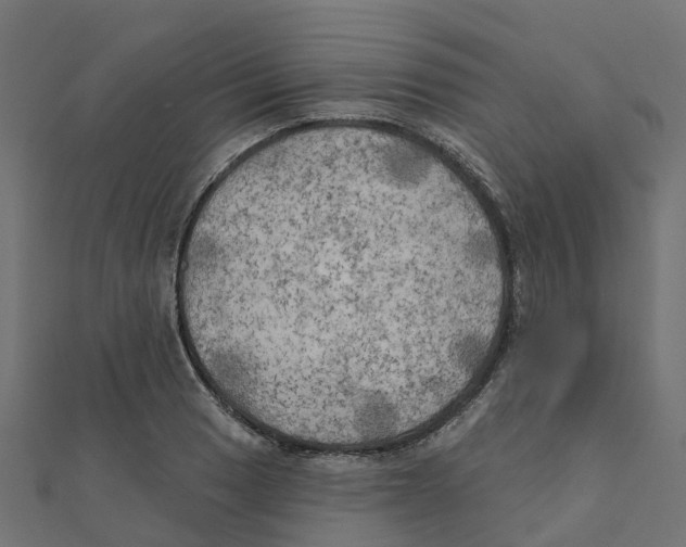 X0000111241033200907301302