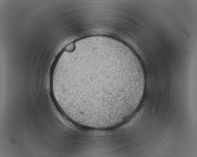 X0000111241034200907301302