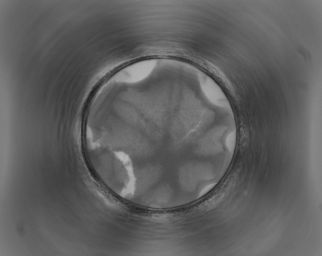 X0000111241035200907301302