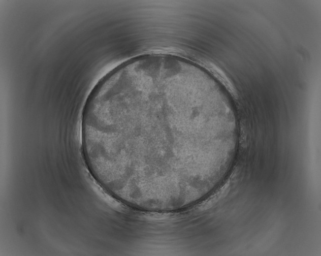 X0000111241036200907301302