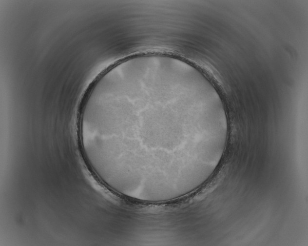 X0000111241038200907301302