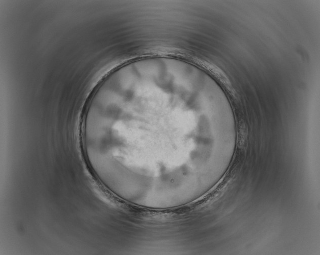 X0000111241039200907301302