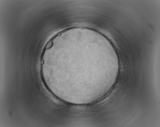 X0000111241040200907301302