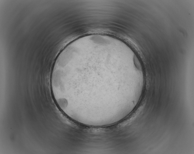 X0000111241041200907301302