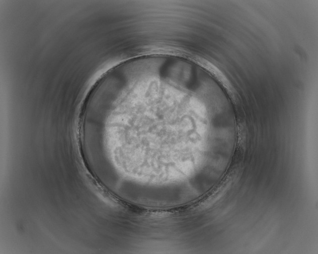 X0000111241043200907301302
