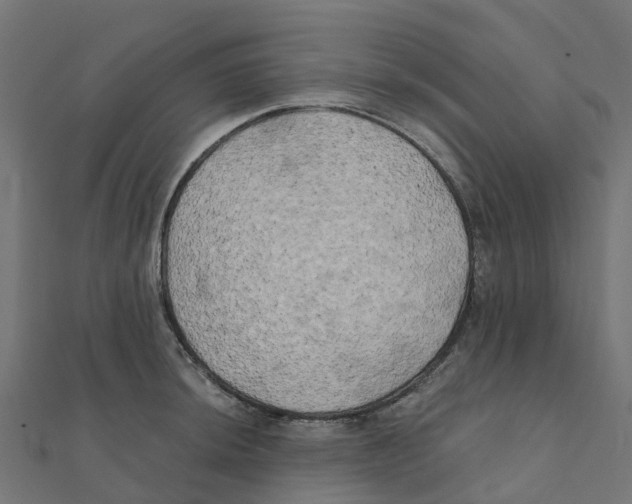 X0000111241044200907301302