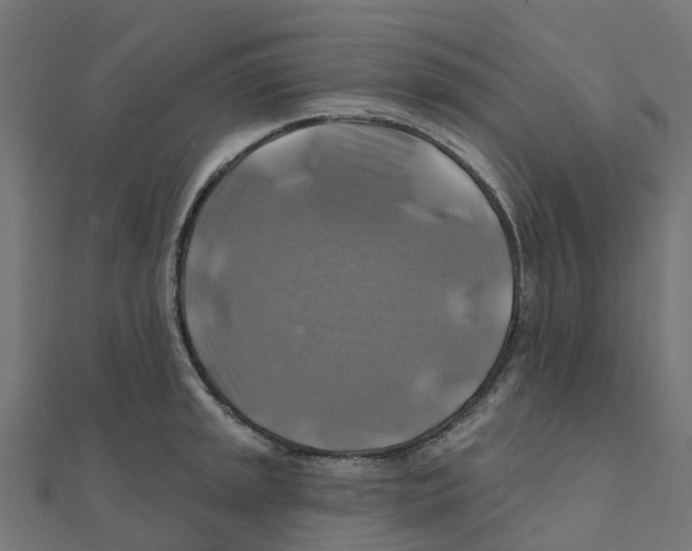 X0000111241045200907301302