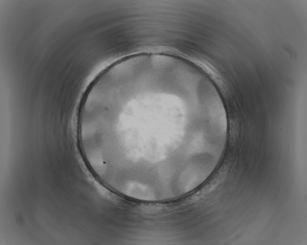 X0000111241046200907301302