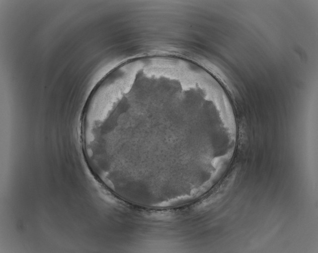 X0000111241047200907301302