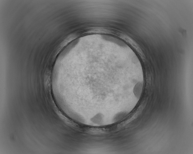 X0000111241049200907301302