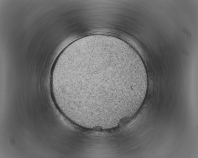 X0000111241050200907301302