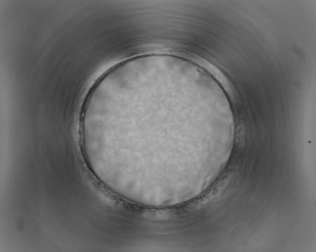 X0000111241051200907301302