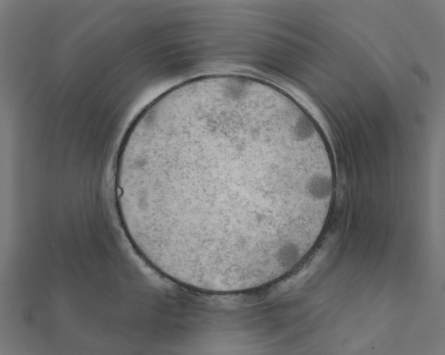 X0000111241053200907301302