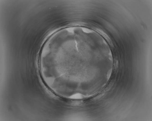 X0000111241055200907301302