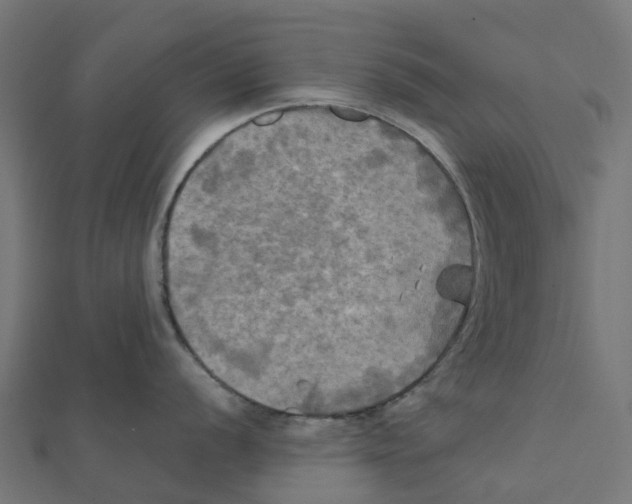X0000111241056200907301302