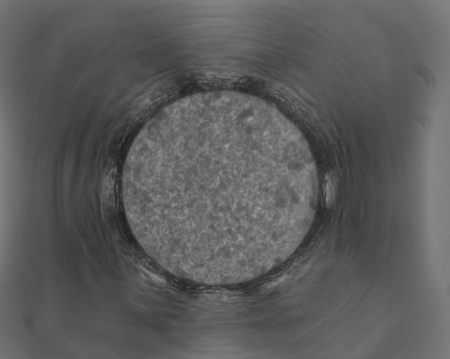 X0000111241059200907301302