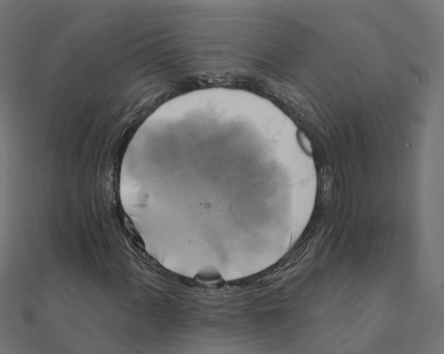 X0000111241060200907301302
