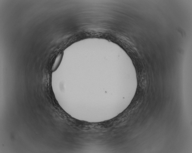X0000111241061200907301302