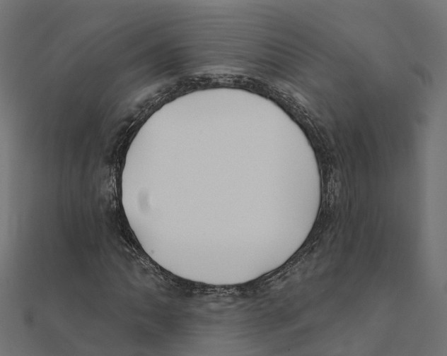 X0000111241062200907301302