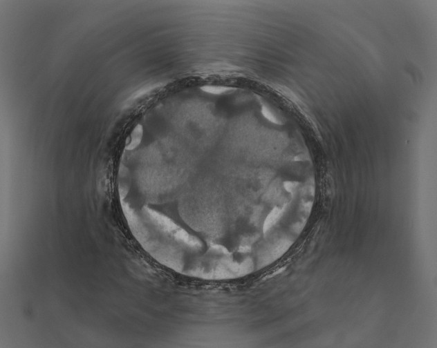 X0000111241063200907301302