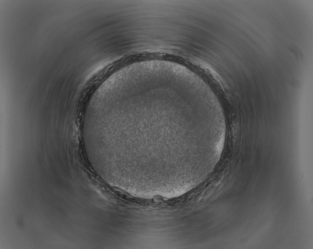 X0000111241064200907301302
