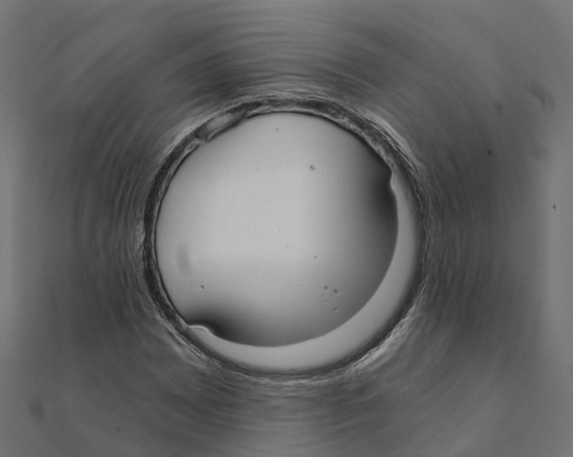X0000111241065200907301302