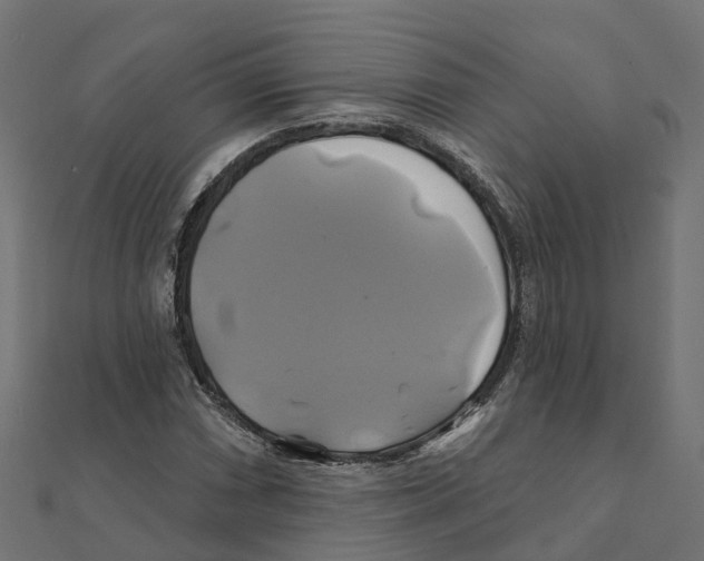 X0000111241066200907301302