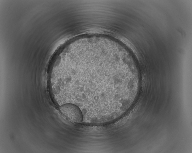 X0000111241067200907301302