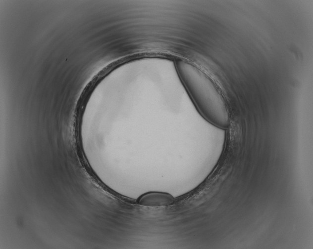 X0000111241068200907301302