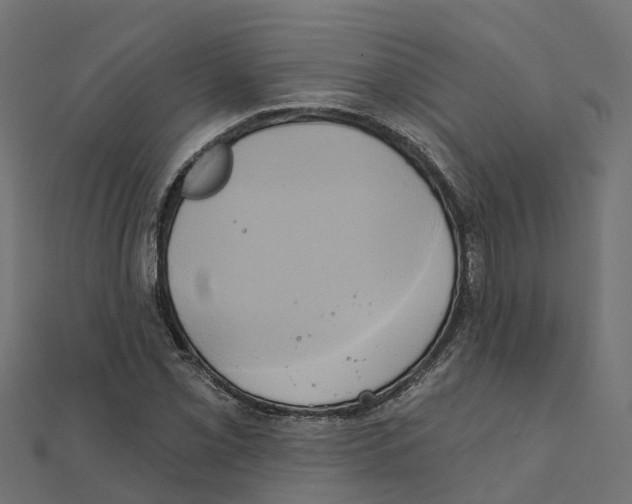 X0000111241069200907301302