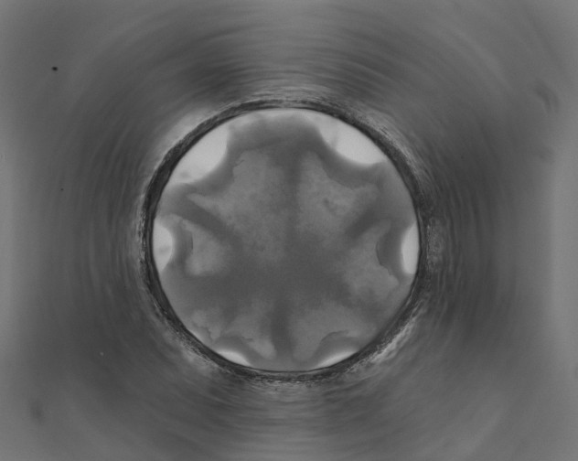X0000111241071200907301302