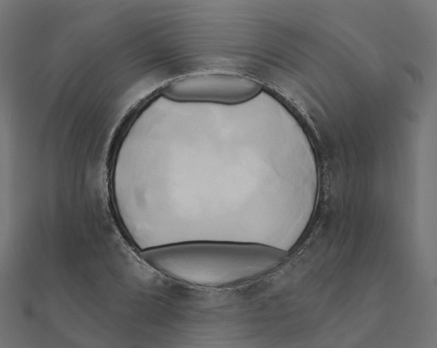X0000111241072200907301302