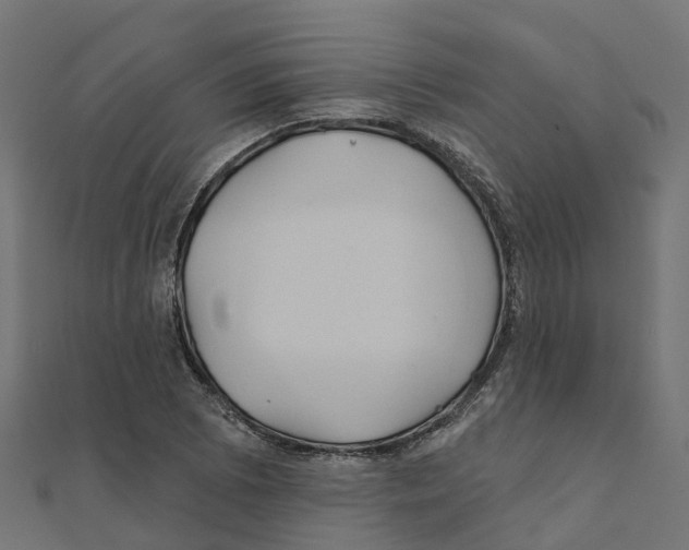 X0000111241073200907301302