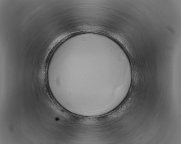 X0000111241074200907301302